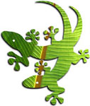 Visit Local Hawaii Real Estate